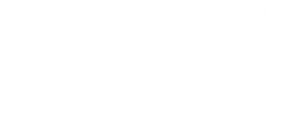 33.3™